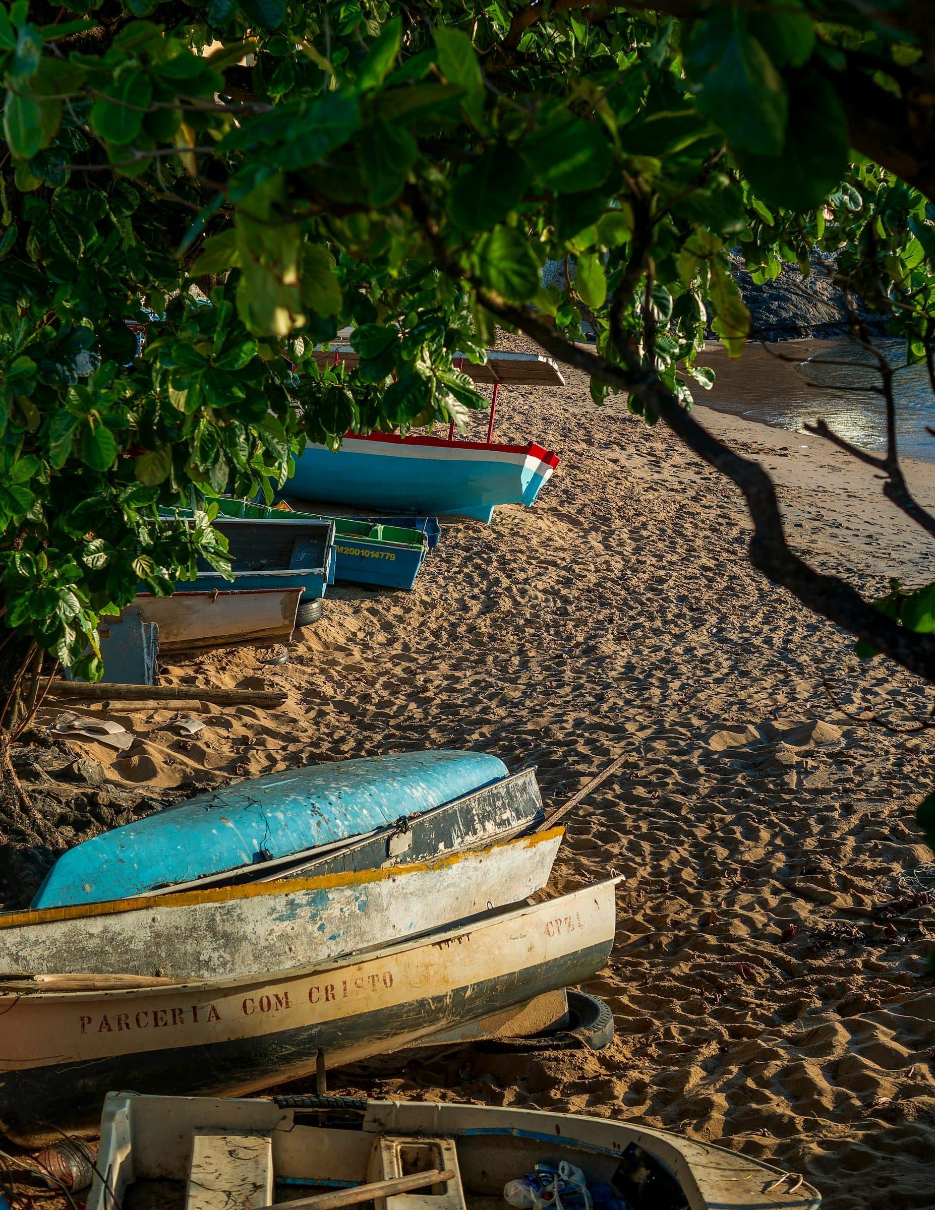 Barcos na areia sob a sombra das árvores